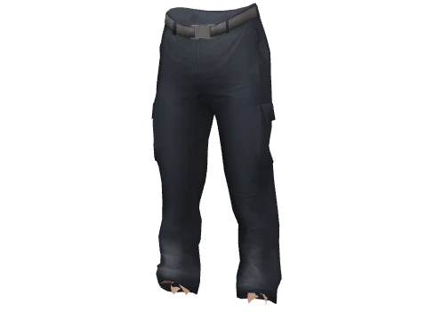 Navy Large Cargos