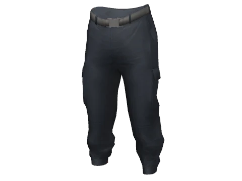 Navy Large Cargos