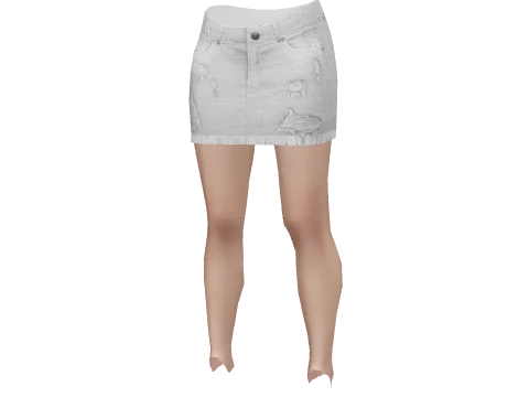 Ash Denim Skirt