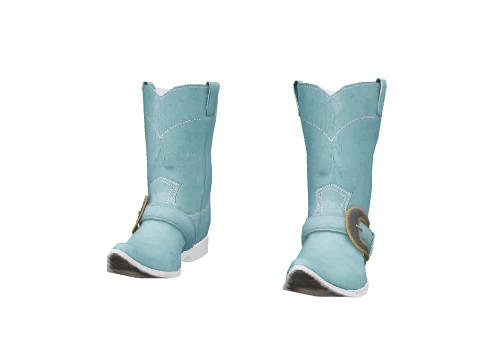 Blue Cowboy Boots