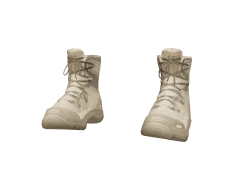 Desert Tactical Boots