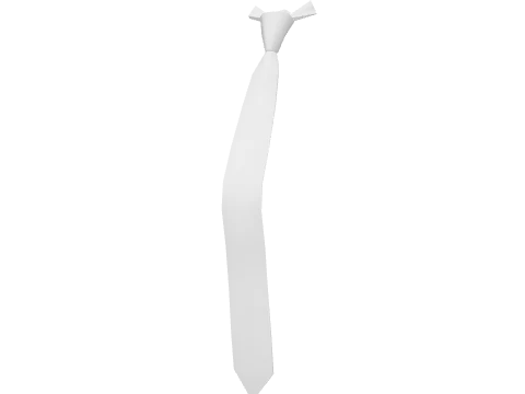 White Skinny Tie