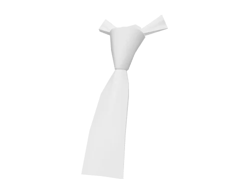White Skinny Tie