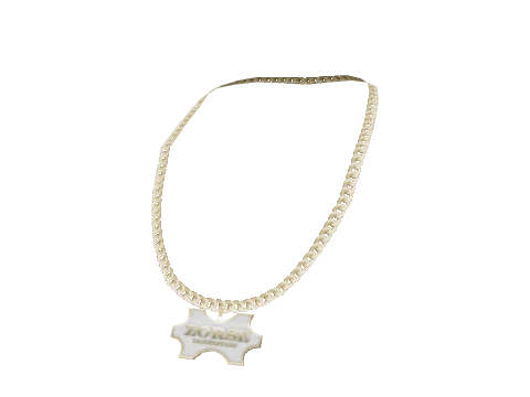 Gold Zorse Necklace