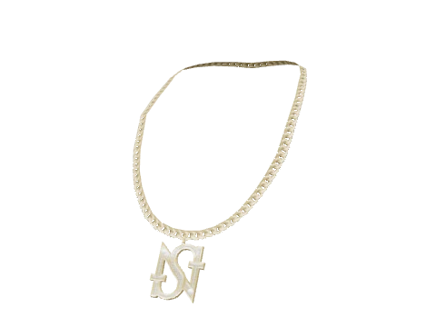 Gold SN Necklace