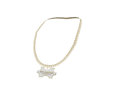 Gold Zorse Necklace