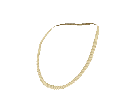 Gold Rope Chain