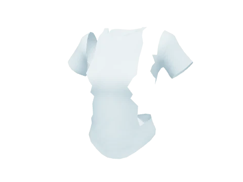 Crewneck T-Shirt