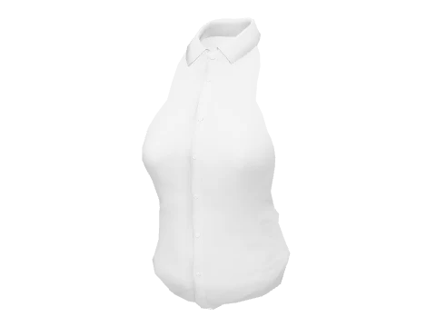 White Dress Shirt Closed
