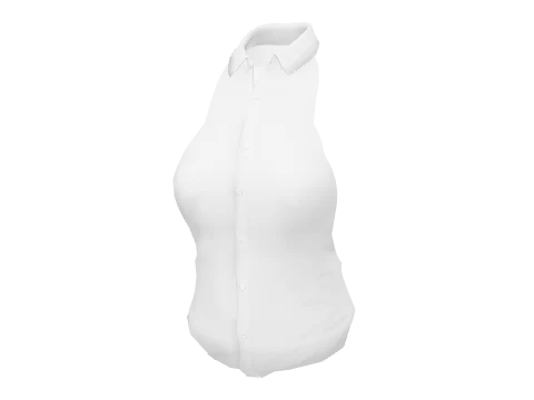 White Dress Shirt Open