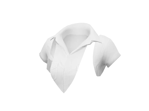White Blouse