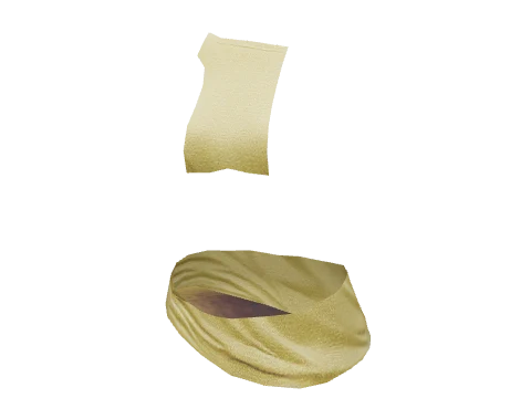 Gold Shiny Top