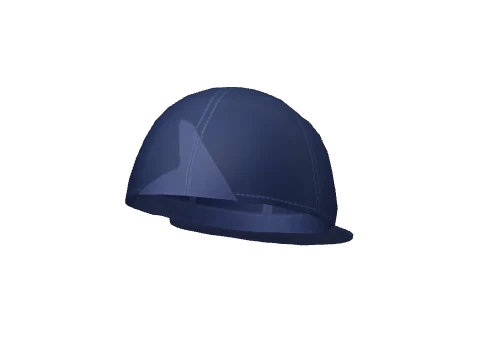 Navy Prolaps Flat Backwards