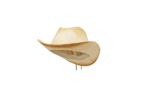 Tan Cowgirl Hat