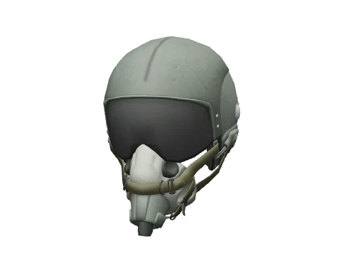 Flight Helmet