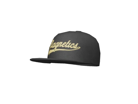 Magnetics Script Fitted Cap