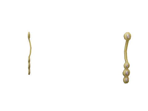 Gold Totems