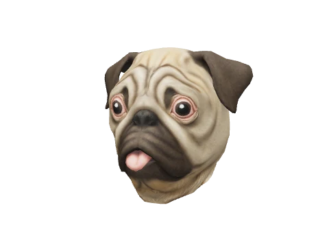 Moe Pug