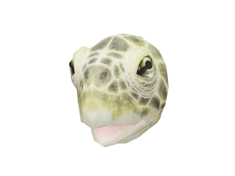 Green Turtle Mask