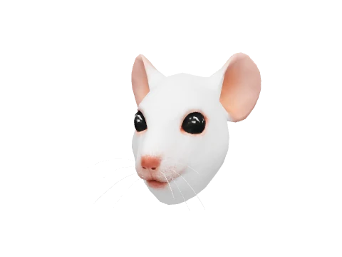 White Mouse Mask