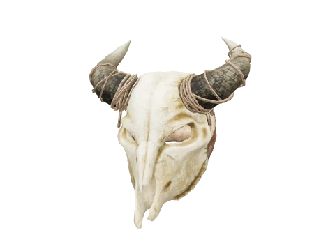Clean Horned Skull