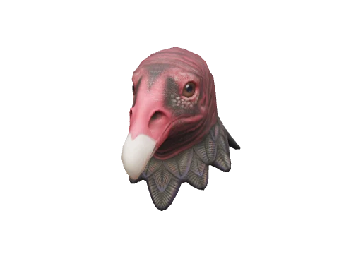 Pink Vulture