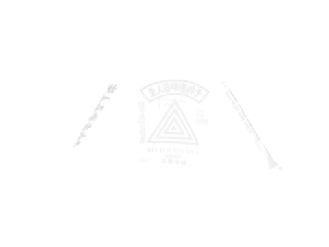 Never Triangle Print Hoodie
