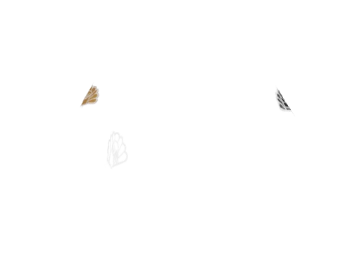 component 10 #113