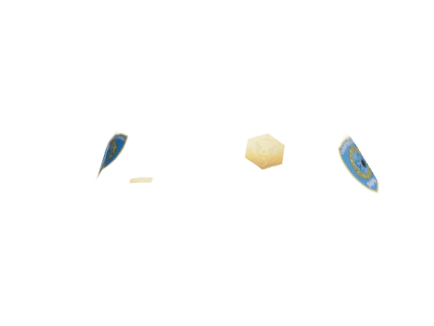 component 10 #77