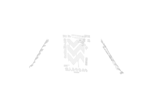 Life ZigZag Print Hoodie