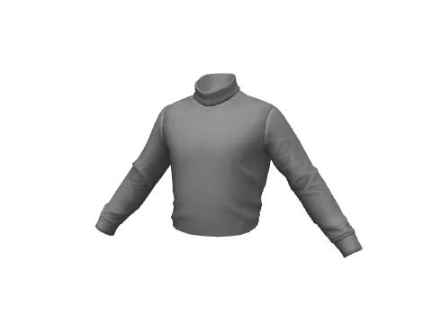 Gray Turtleneck