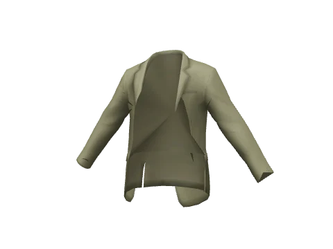 Olive Sports Coat