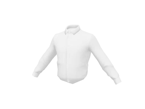 White Dress Shirt