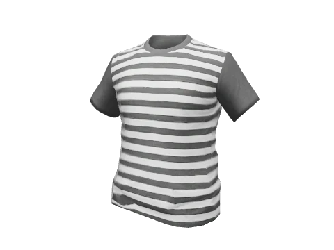 Gray Striped T-Shirt