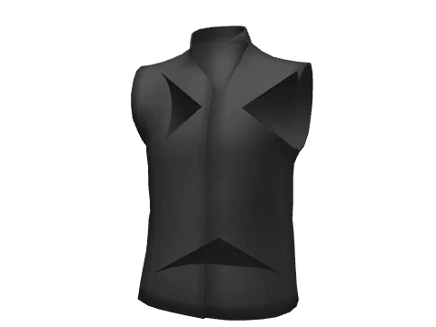 Black Fleece Gilet