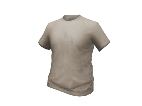 Beige T-Shirt