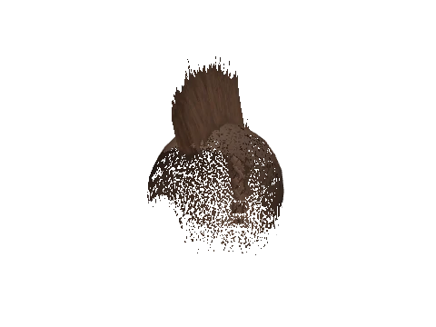 Spiked Mohawk