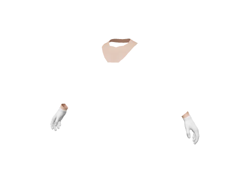 White Cotton Gloves