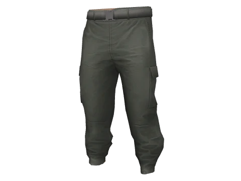 Correctional Cargo