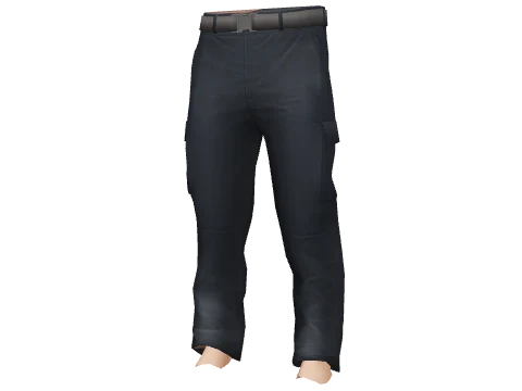 Navy Large Cargos