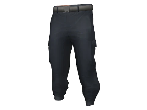 Navy Large Cargos