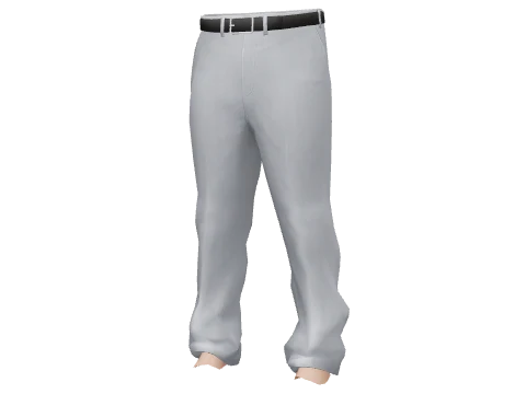 Light Gray Baggy