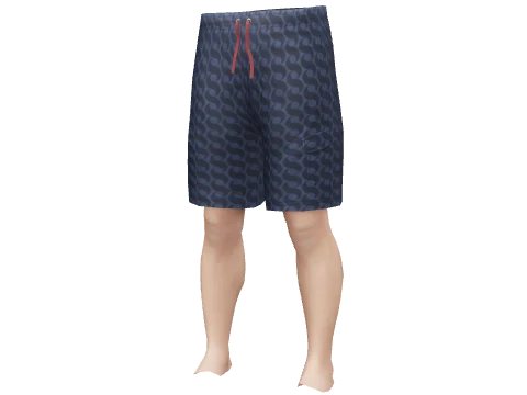Dix Swim Shorts