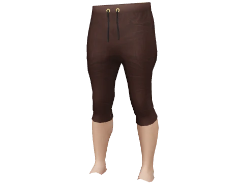 Chocolate Low Crotch Shorts
