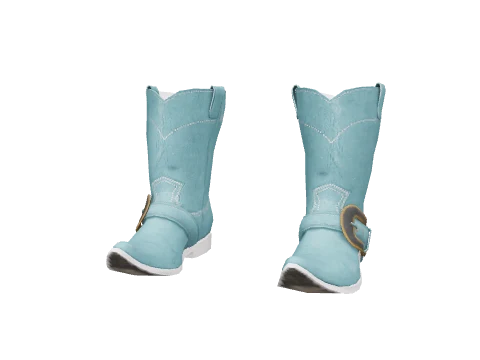 Blue Cowboy Boots