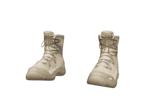 Desert Tactical Boots
