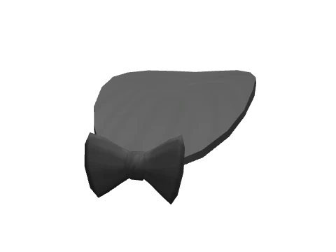 Black Full Bowtie