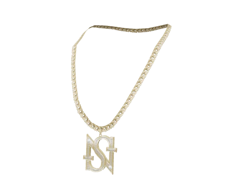 Gold SN Necklace