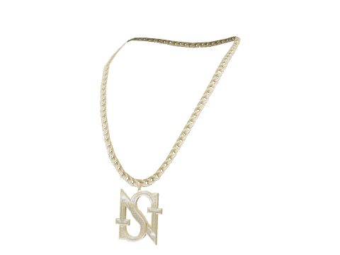 Gold SN Necklace