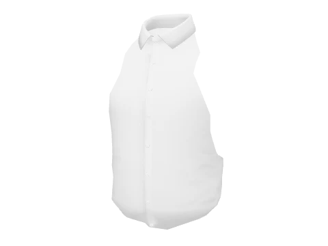 White Dress Shirt